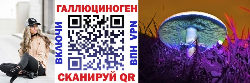 мориарти какой сайт  Спасск-Дальний  Галлюциногенные грибы Magic Shrooms 