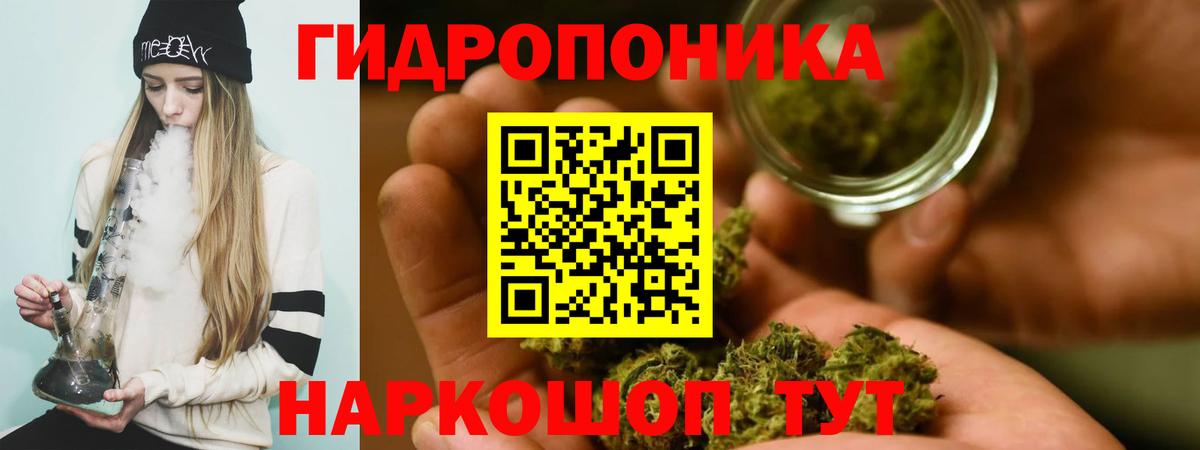 Конопля тримм  Вход с VPN  Бошки марихуана VHQ  Спасск-Дальний  МАРИХУАНА SATIVA & INDICA 